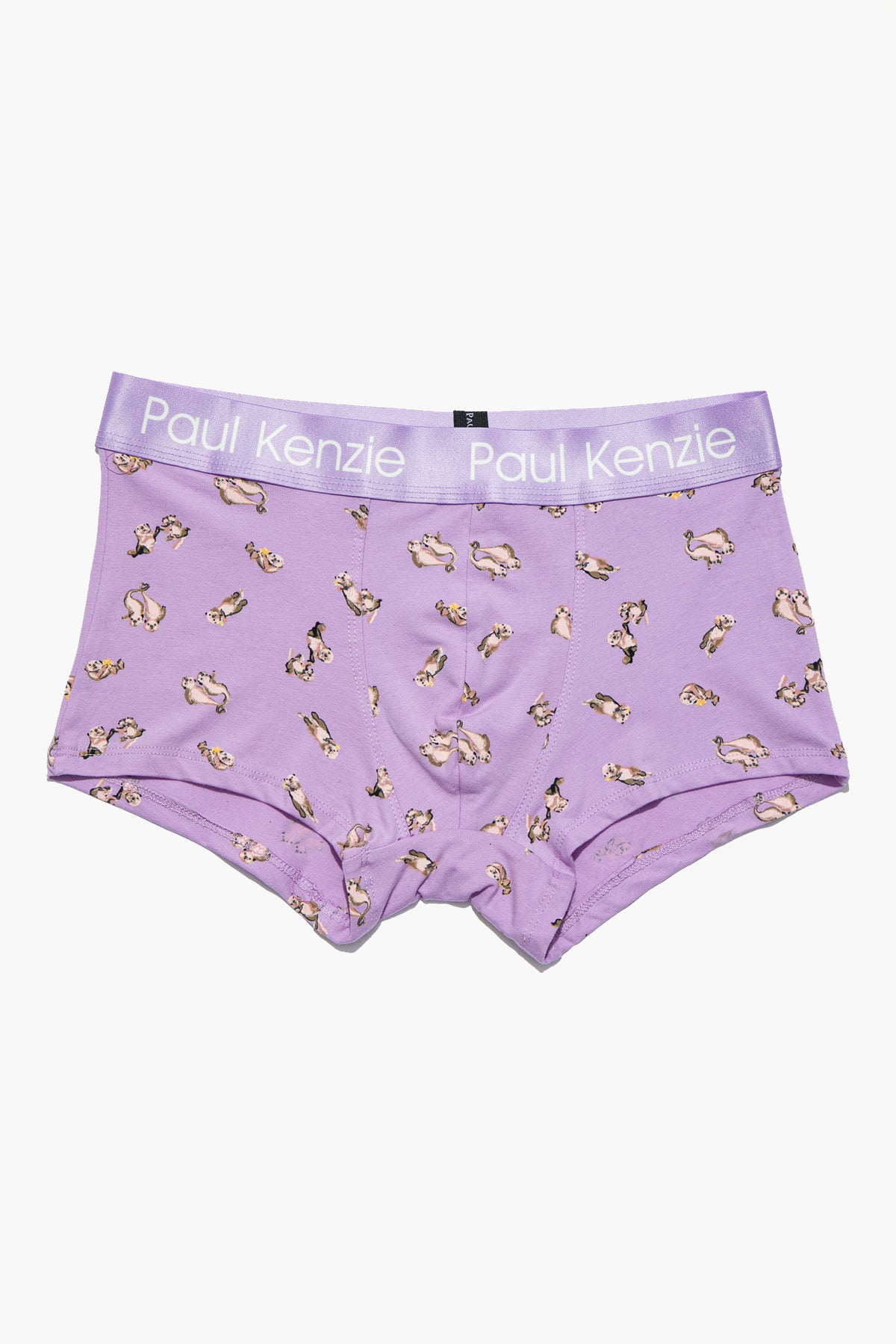 Erkek Trunk Boxer - Otter