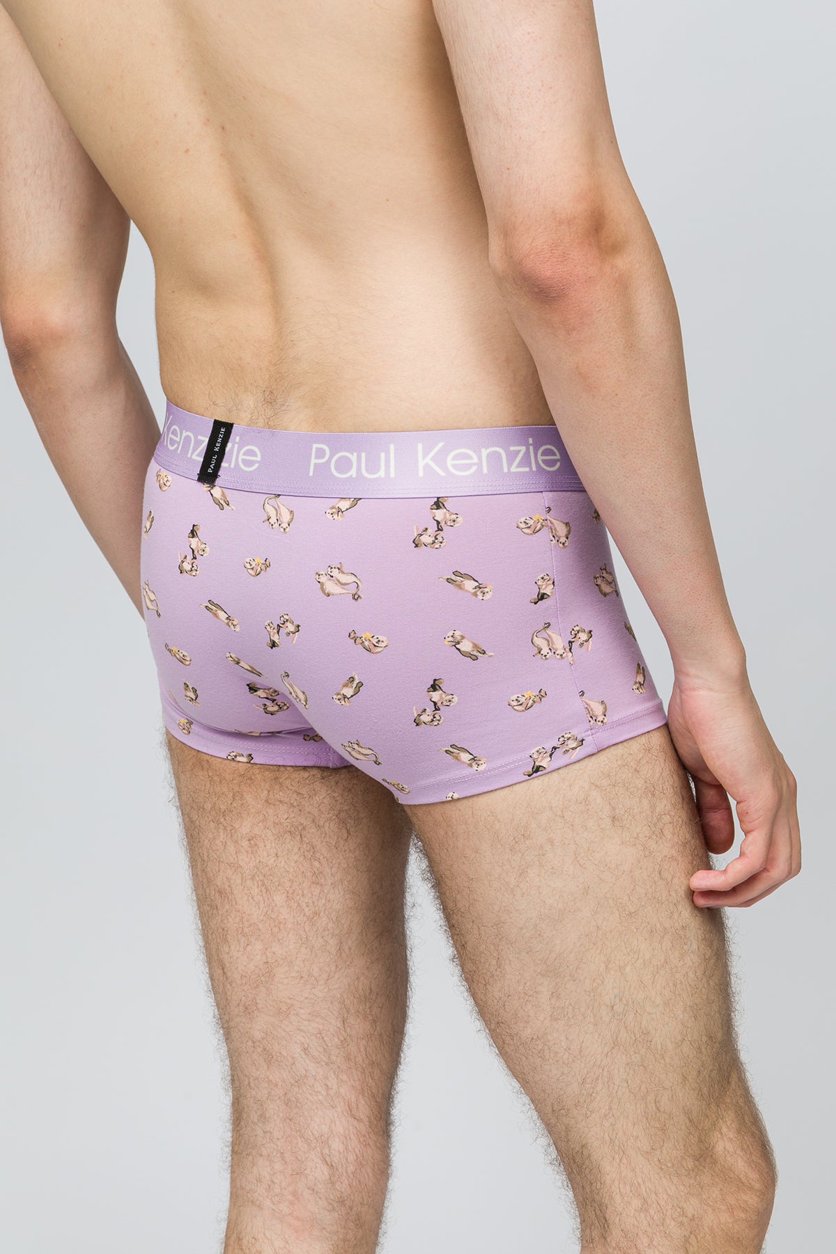 Erkek Trunk Boxer - Otter