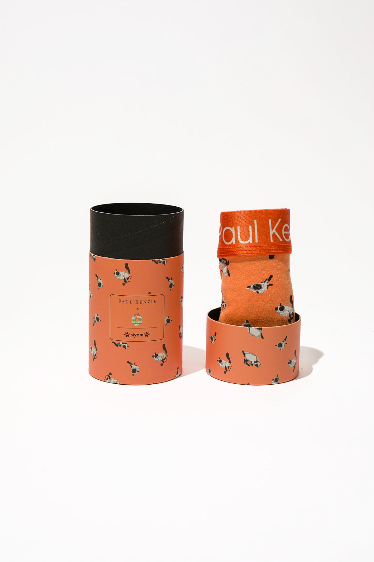 Paul Kenzie x Kurtaran Ev - Siyam Couple