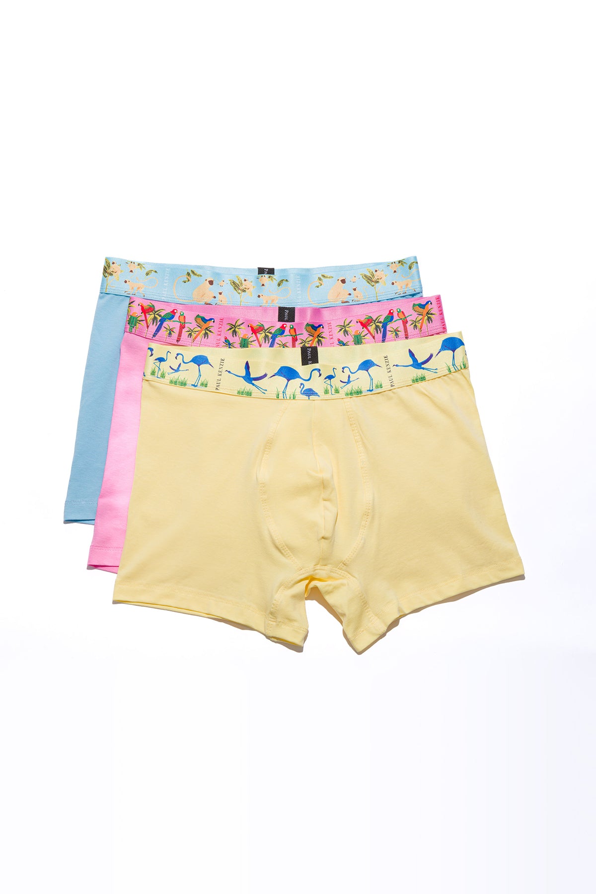 Erkek 3'lü Boxer  - Exotic