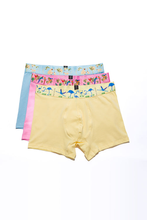 Erkek 3'lü Boxer  - Exotic