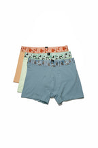 Erkek 3'lü Boxer - Eco Characters - Ecological