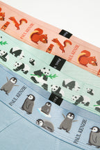 Erkek 3'lü Boxer - Eco Characters - Ecological