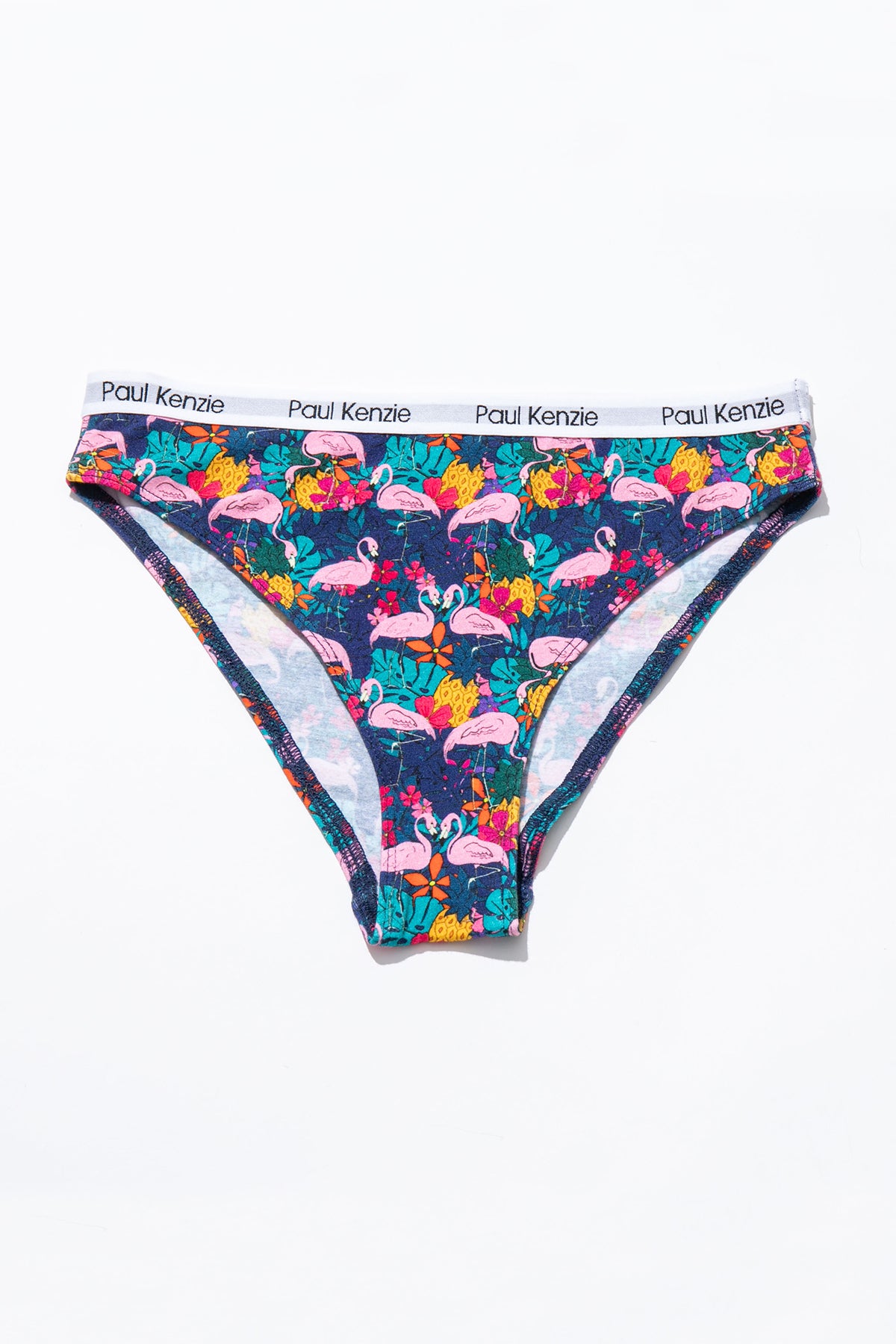 Flamingo Couple