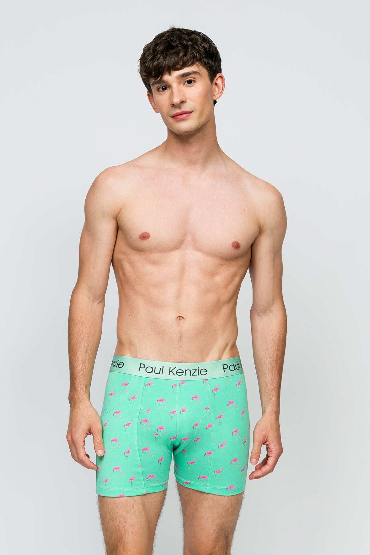 Cepli Erkek Boxer - Pink Birdy - Pockets