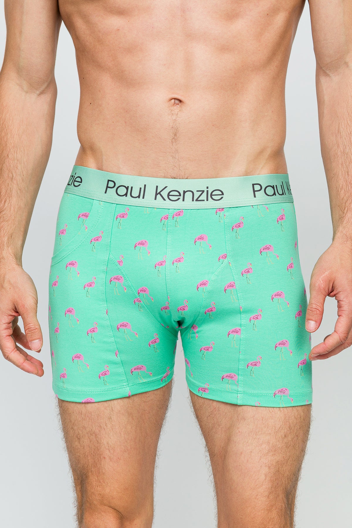 Cepli Erkek Boxer - Pink Birdy - Pockets