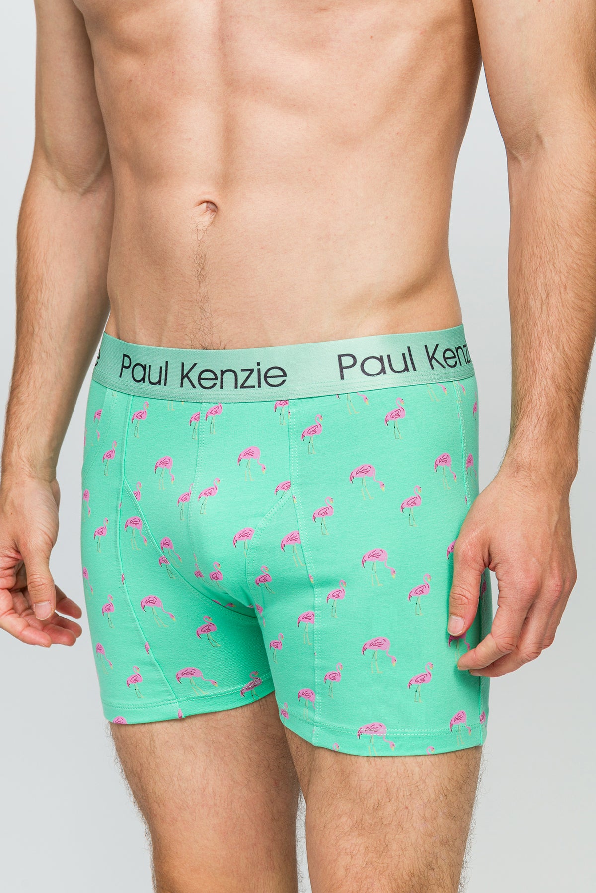 Cepli Erkek Boxer - Pink Birdy - Pockets