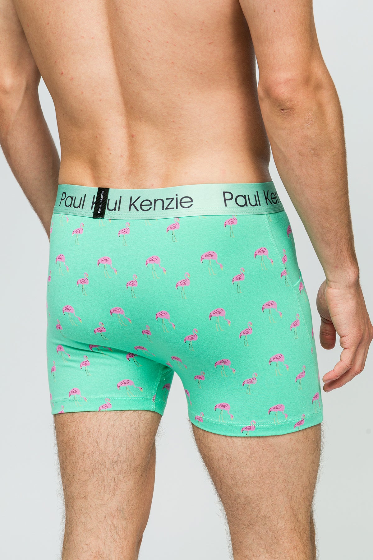 Cepli Erkek Boxer - Pink Birdy - Pockets