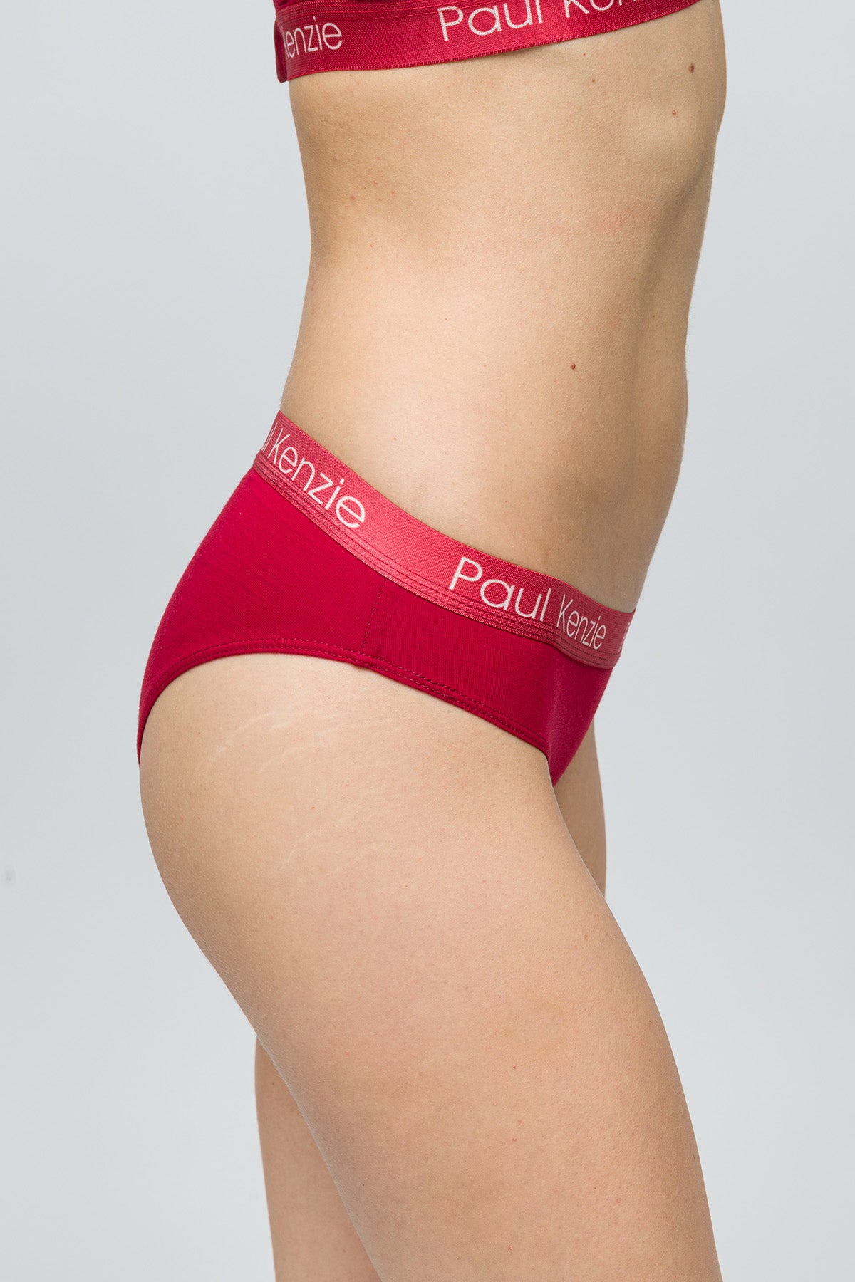 Christmas Collection - 3'lü Kadın Slip Külot - Holly