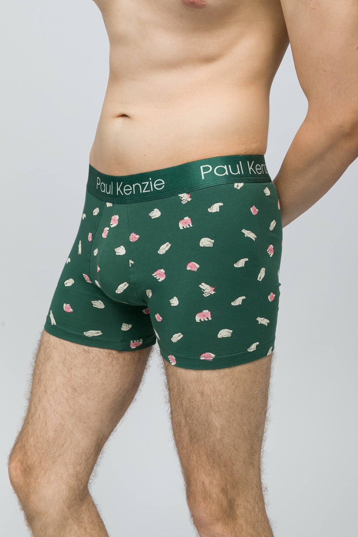 Christmas Collection - Erkek Boxer - Beary