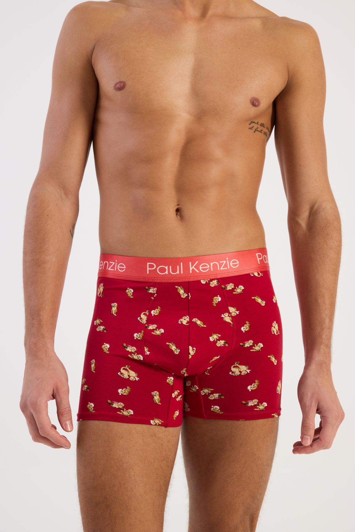 Christmas Collection - Erkek Boxer - OtterHalf