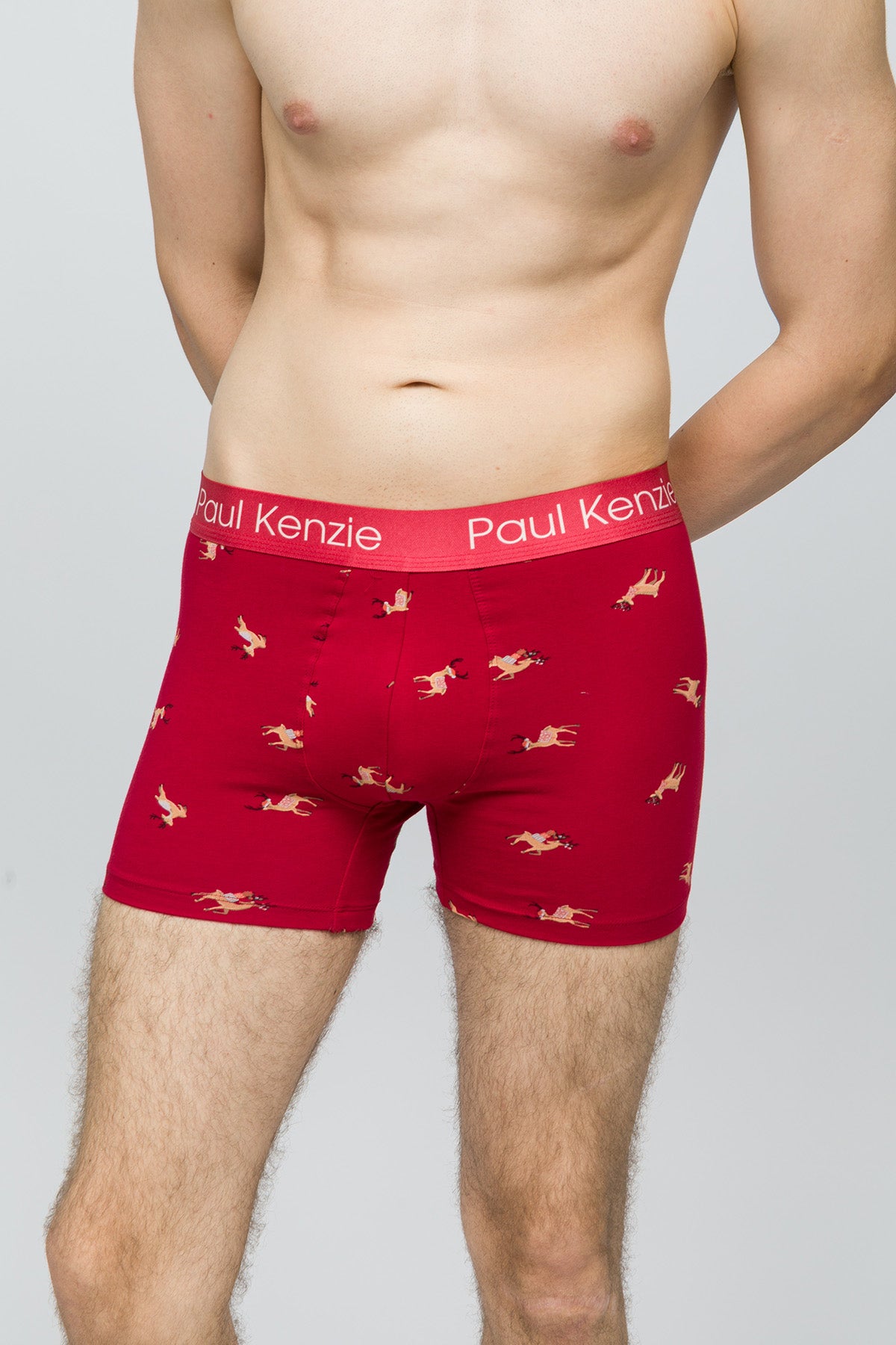 Christmas Collection - Erkek Boxer - Reindeer Kisses