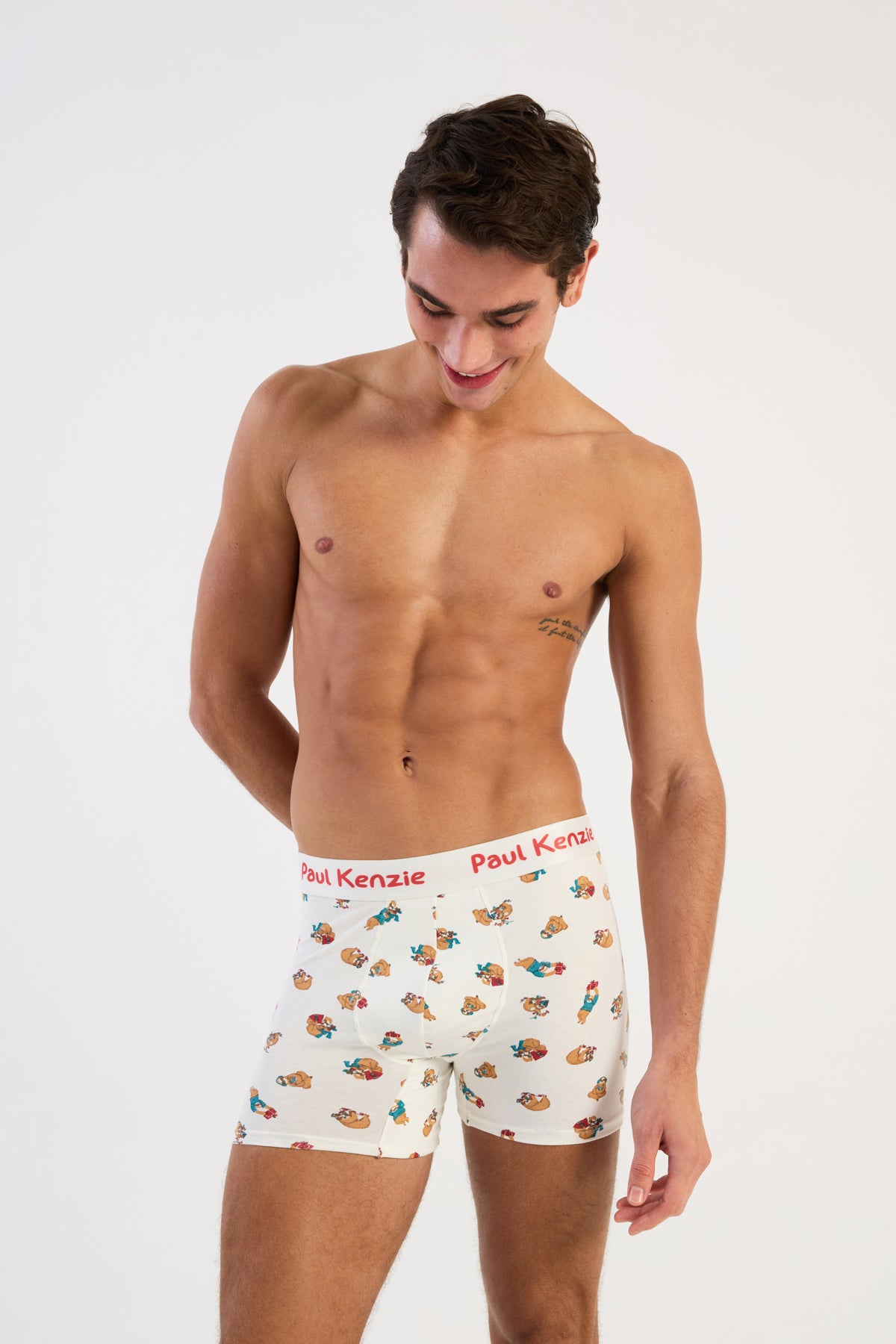 Christmas Collection - Erkek Boxer - Slothy Christmas