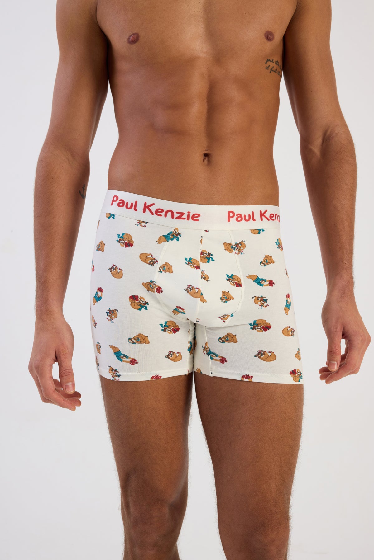 Christmas Collection - Erkek Boxer - Slothy Christmas