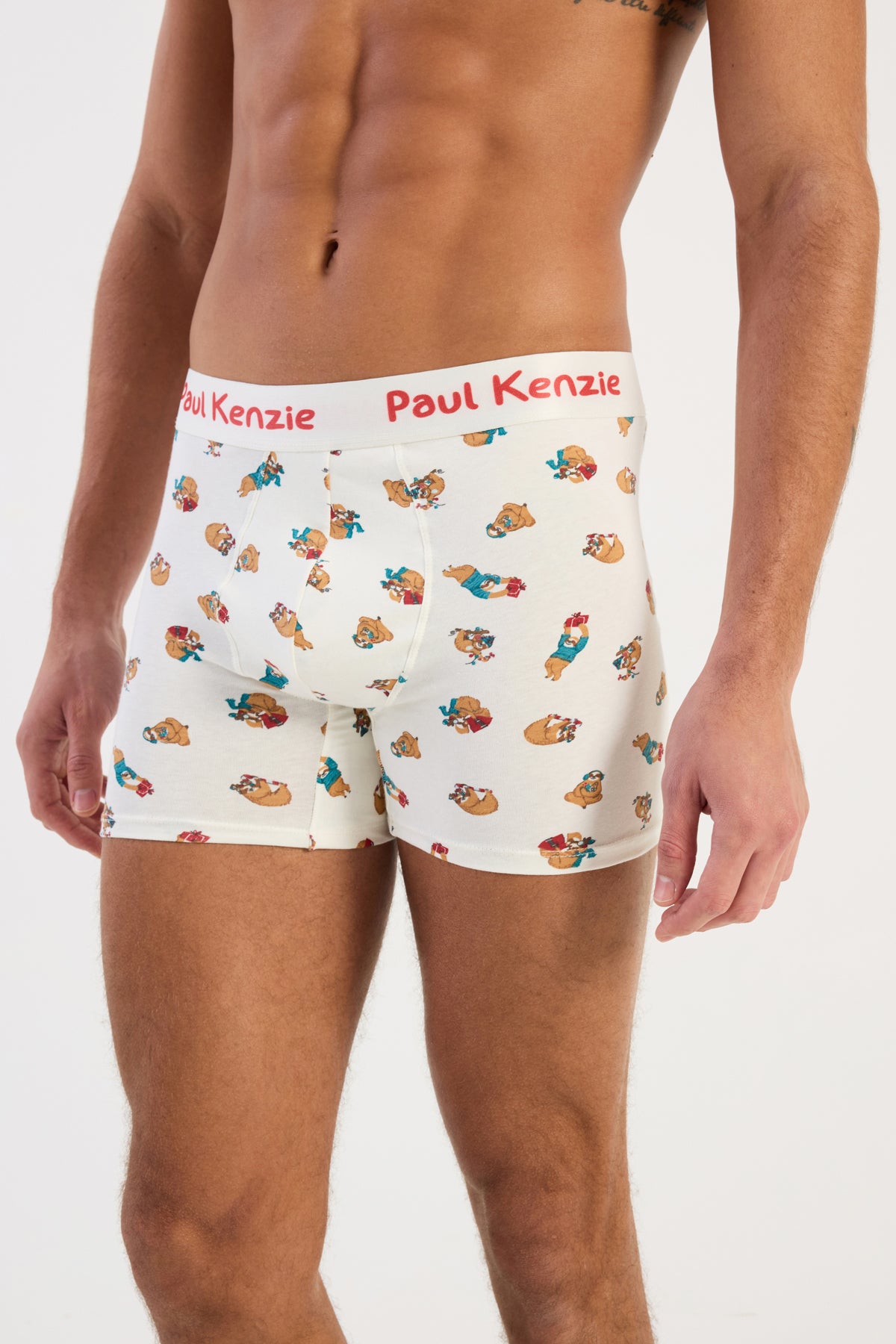 Christmas Collection - Erkek Boxer - Slothy Christmas