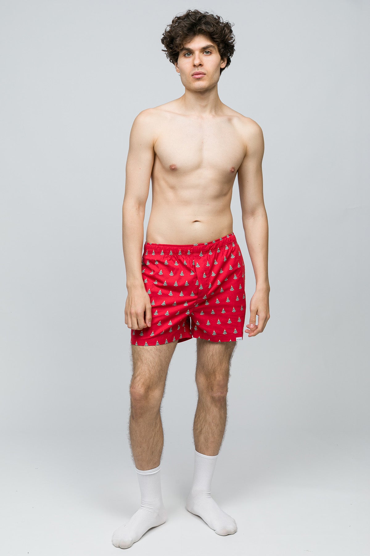 Christmas Collection - Erkek Ev Şort - Pine