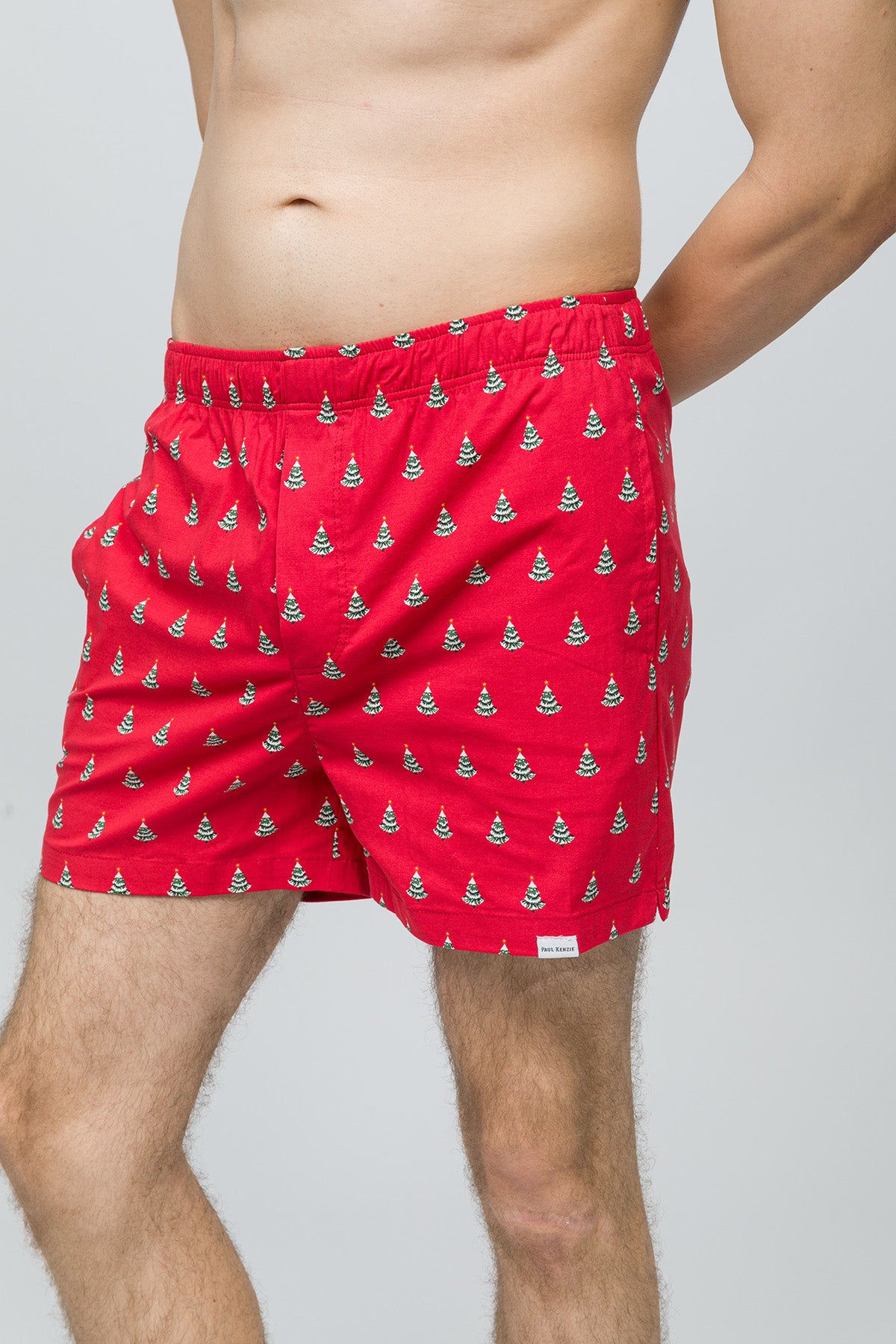 Christmas Collection - Erkek Ev Şort - Pine