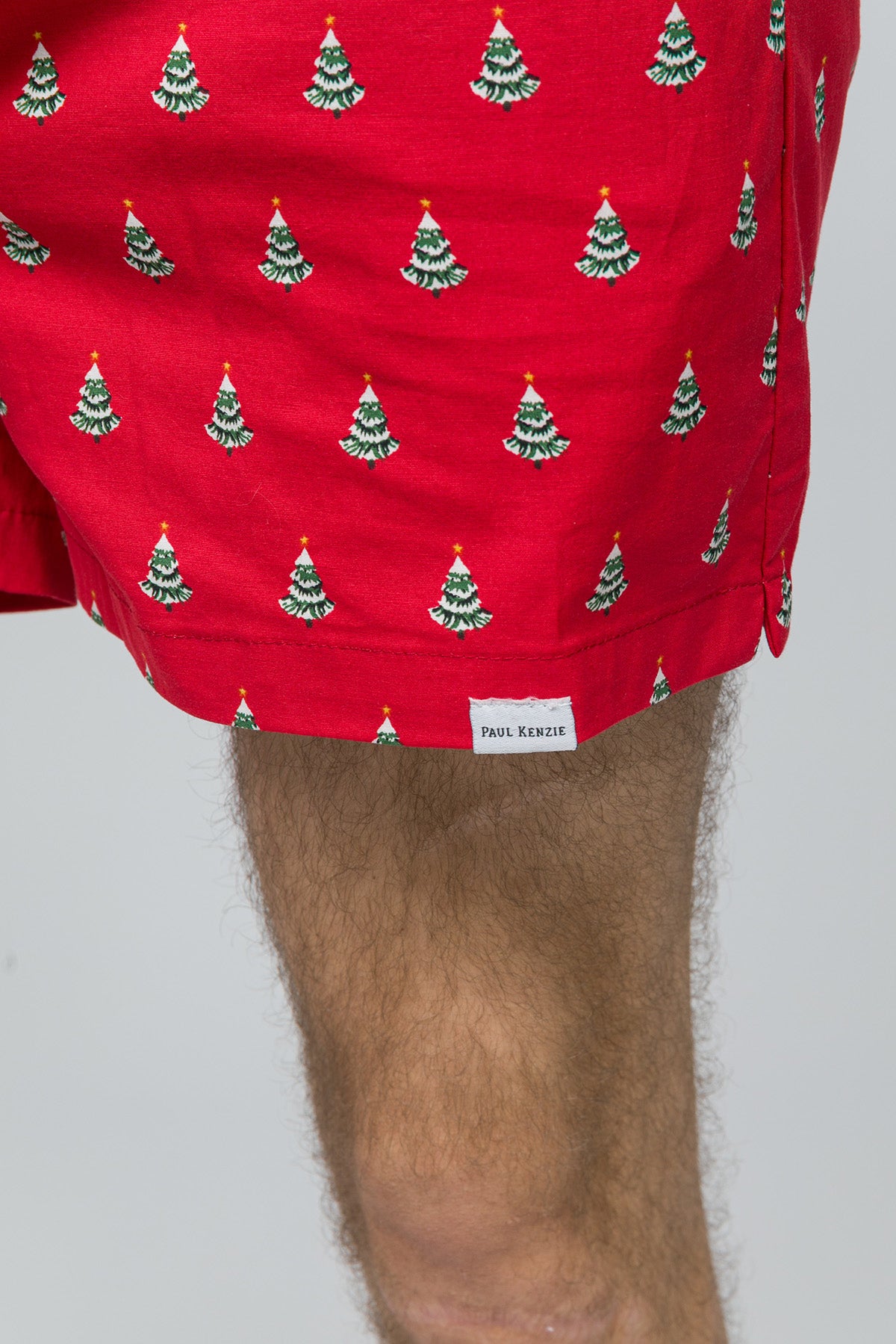 Christmas Collection - Erkek Ev Şort - Pine