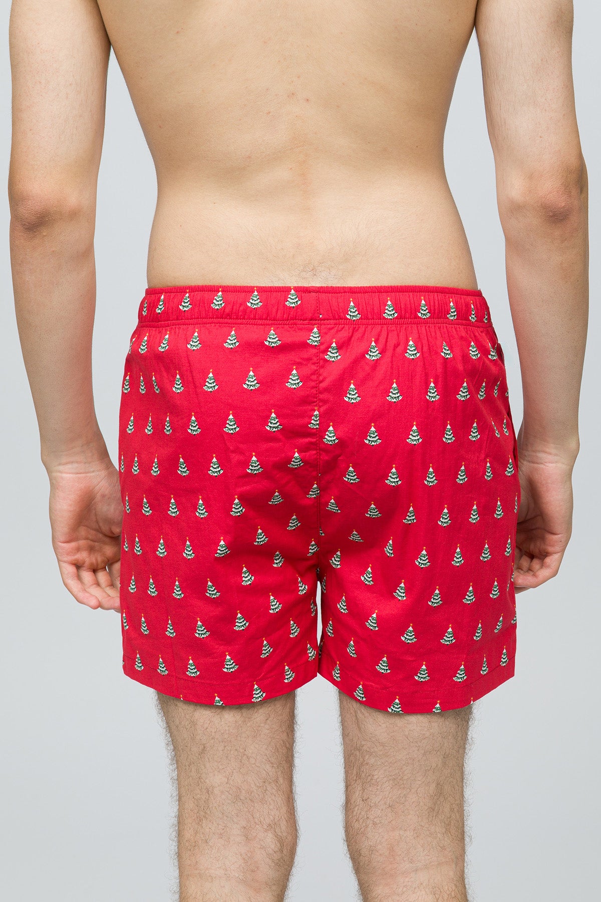 Christmas Collection - Erkek Ev Şort - Pine
