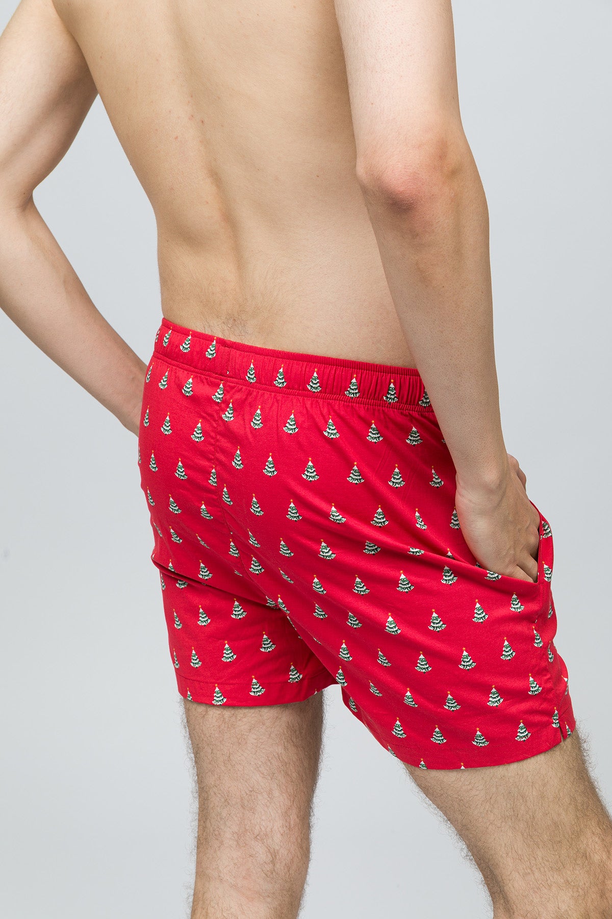 Christmas Collection - Erkek Ev Şort - Pine