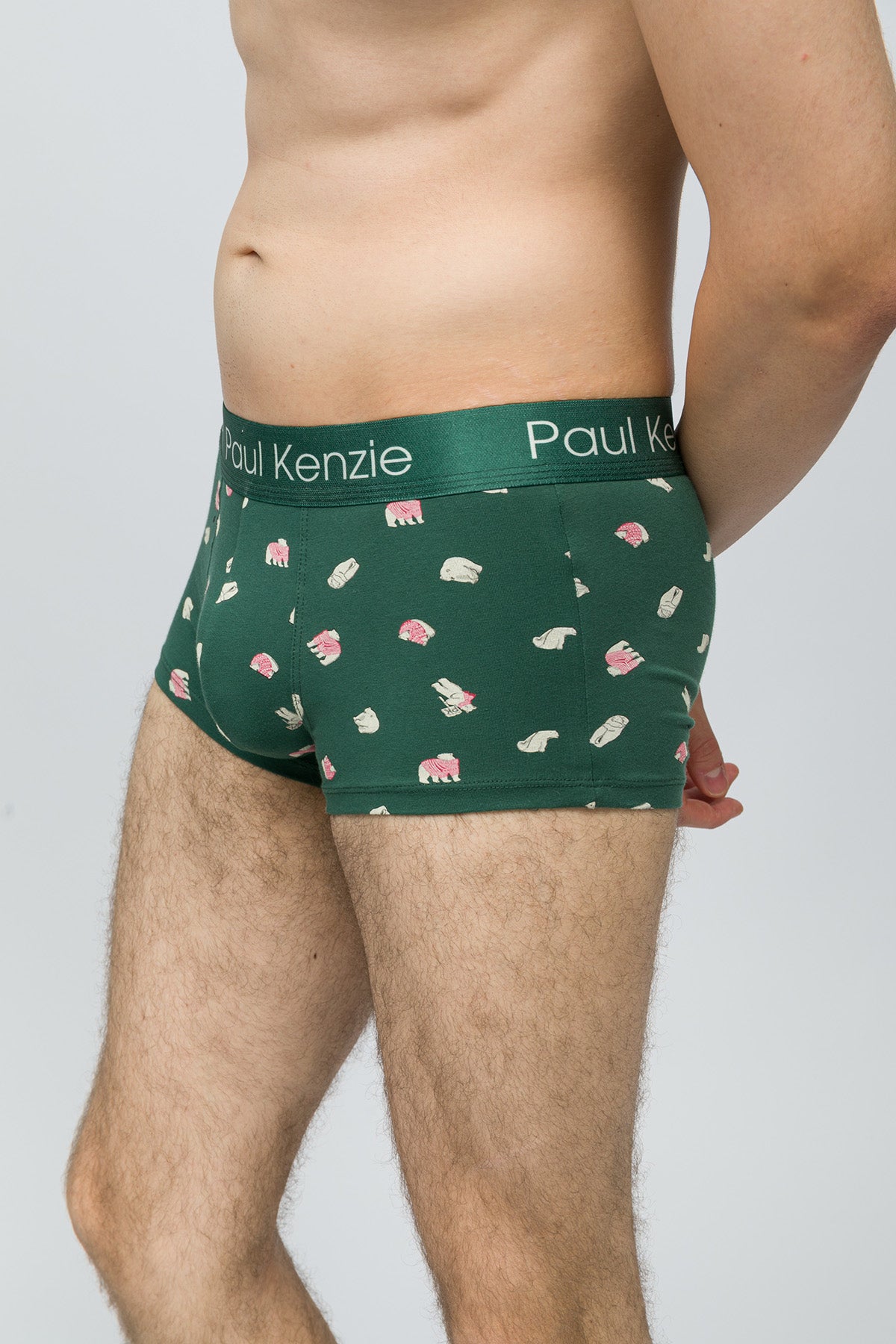 Christmas Collection - Erkek Trunk Boxer - Beary – Paul Kenzie