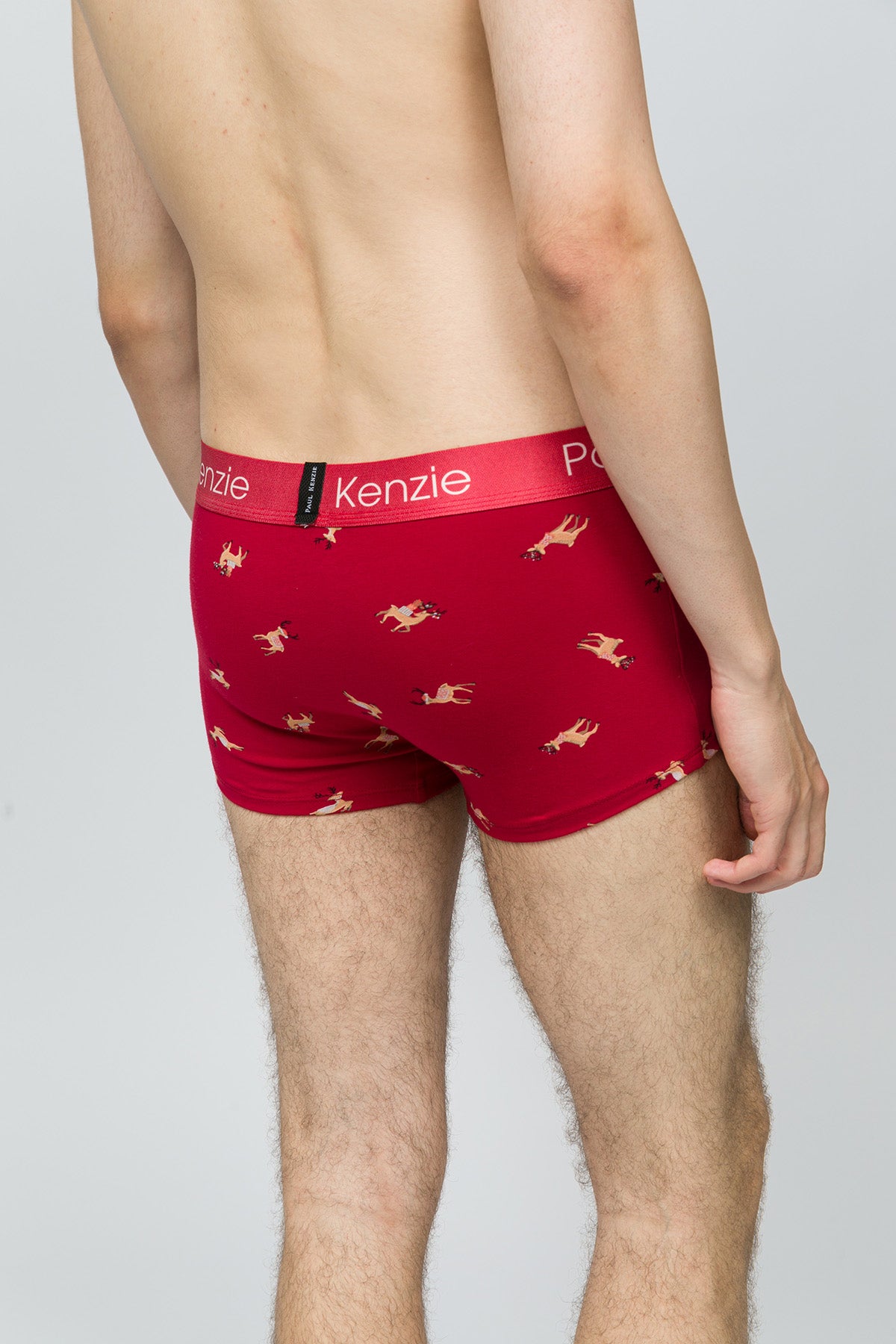 Christmas Collection - Erkek Trunk Boxer - Reindeer Kisses
