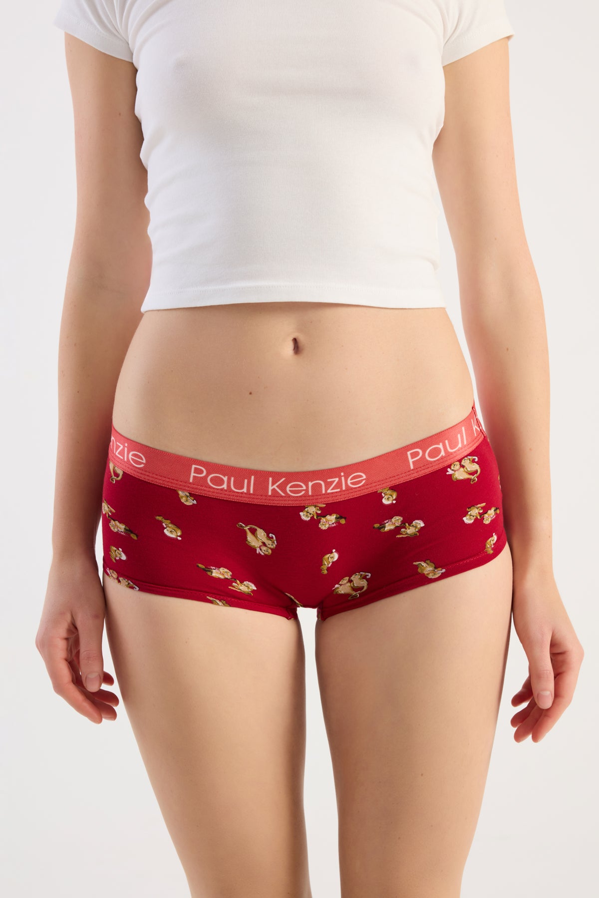 Christmas Collection - Kadın Boyshort Külot - OtterHalf