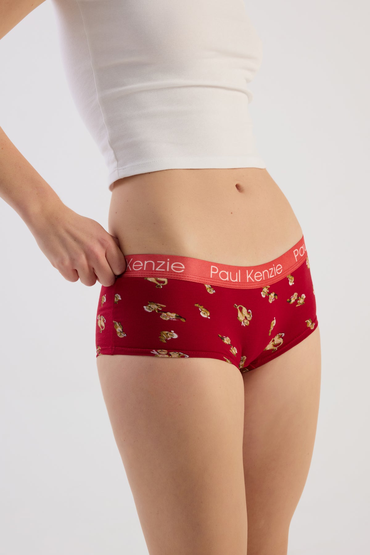 Christmas Collection - Kadın Boyshort Külot - OtterHalf