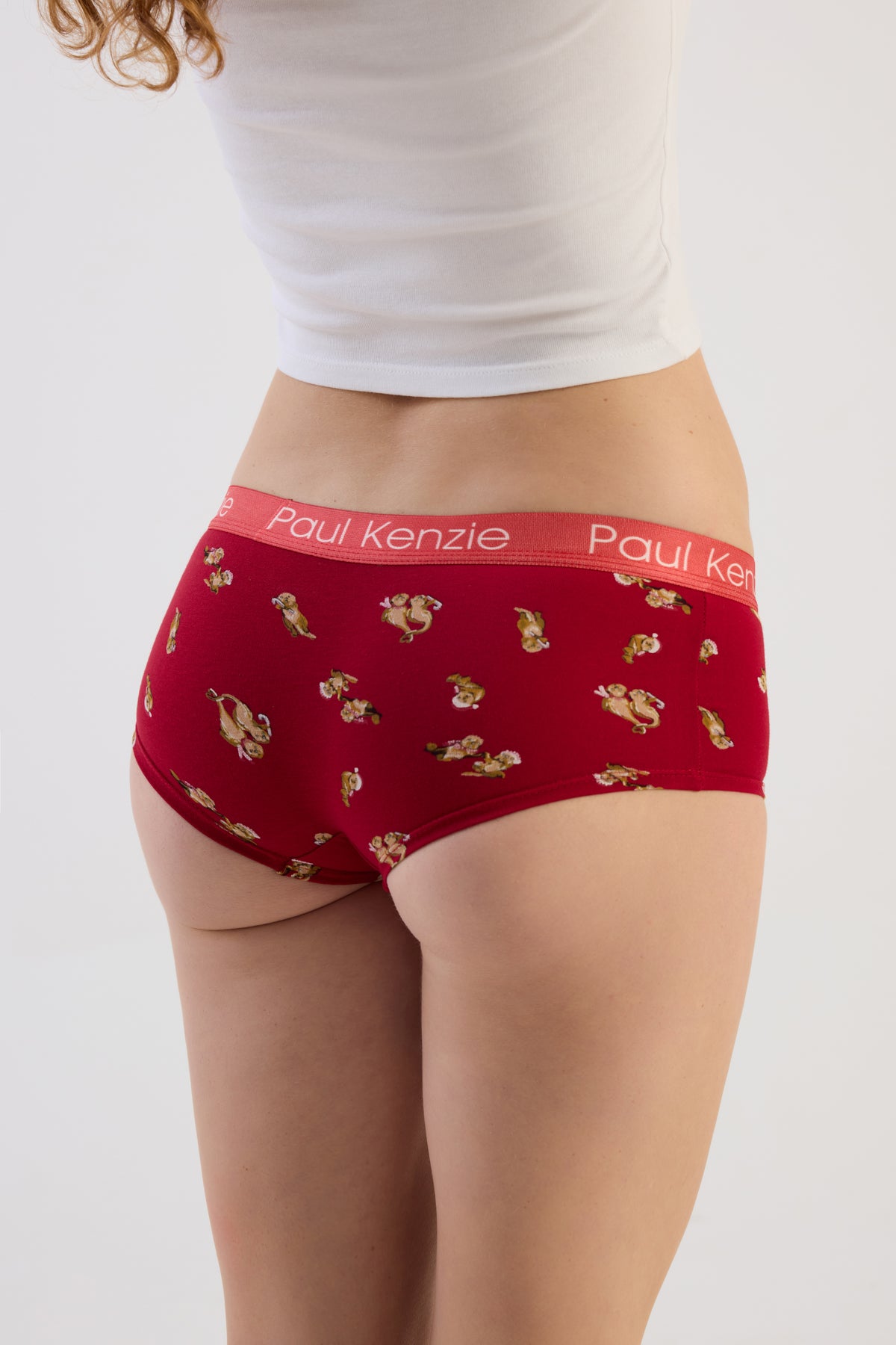 Christmas Collection - Kadın Boyshort Külot - OtterHalf