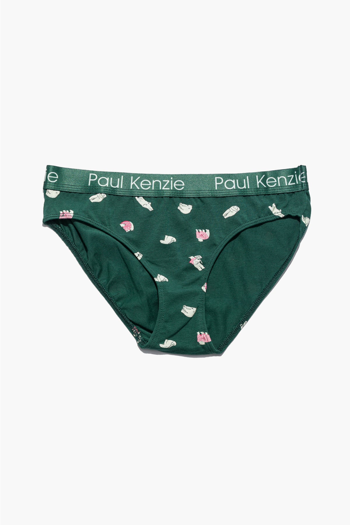 Christmas Collection - Kadın Slip Külot - Beary