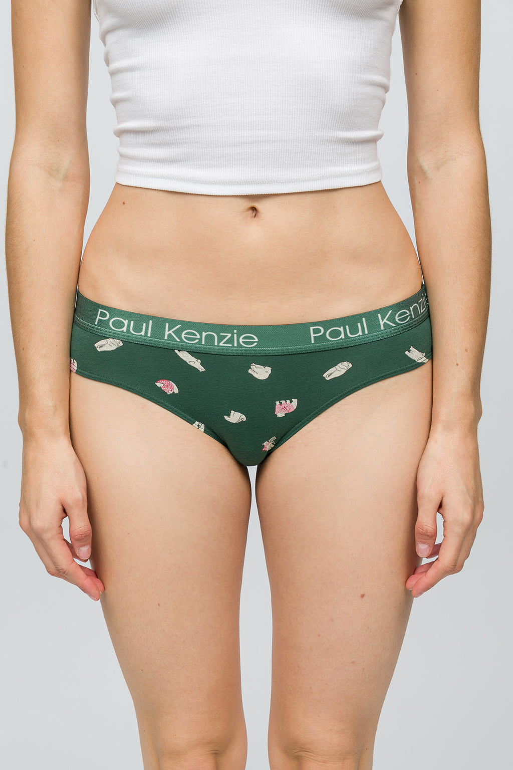 Christmas Collection - Kadın Slip Külot - Beary