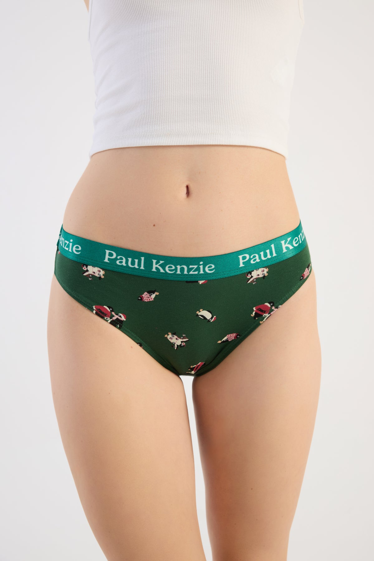 Christmas Collection - Kadın Slip Külot - Pengu in Wonderland