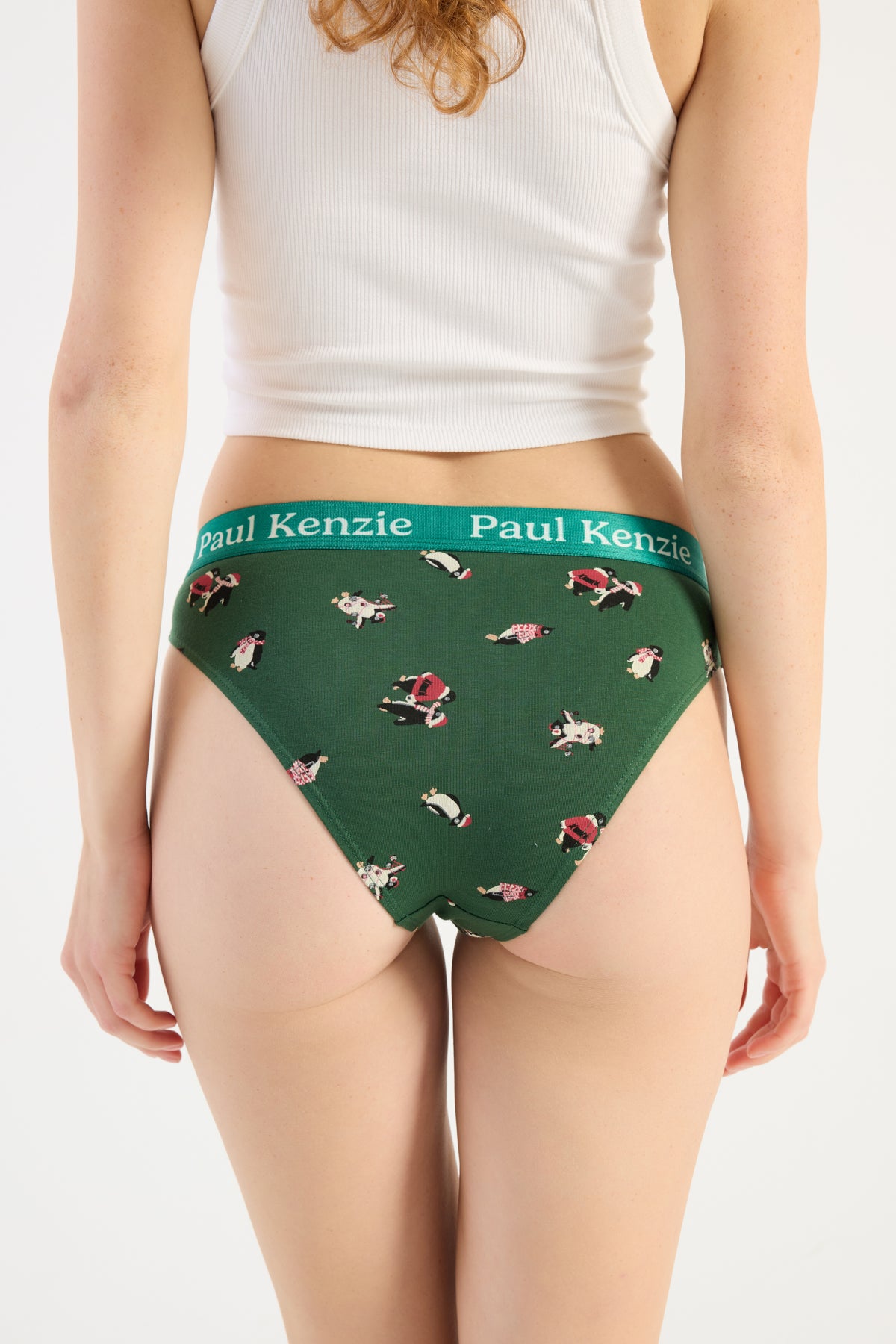 Christmas Collection - Kadın Slip Külot - Pengu in Wonderland