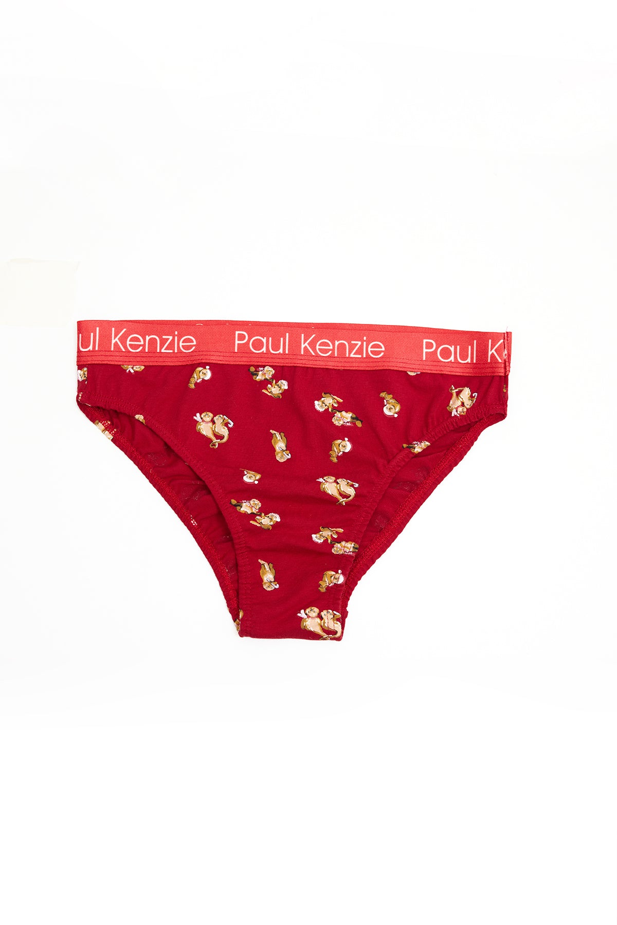 Christmas Collection - Kadın Slip Külot - OtterHalf