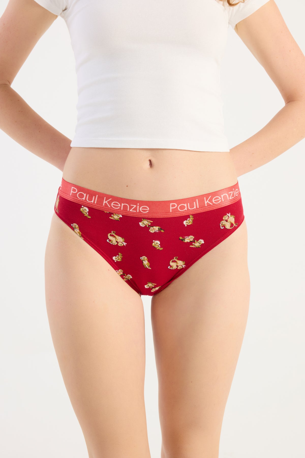 Christmas Collection - Kadın Slip Külot - OtterHalf
