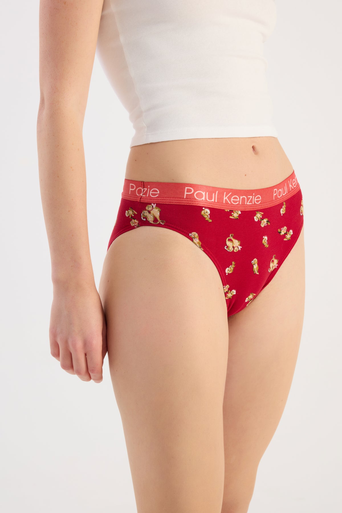 Christmas Collection - Kadın Slip Külot - OtterHalf