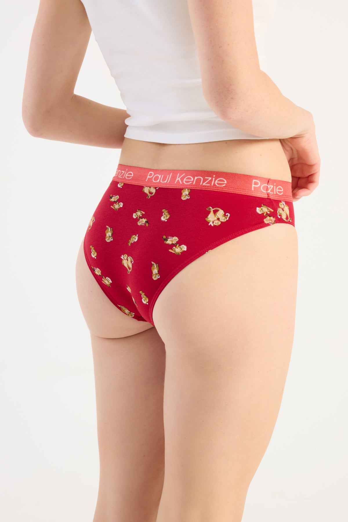 Christmas Collection - Kadın Slip Külot - OtterHalf