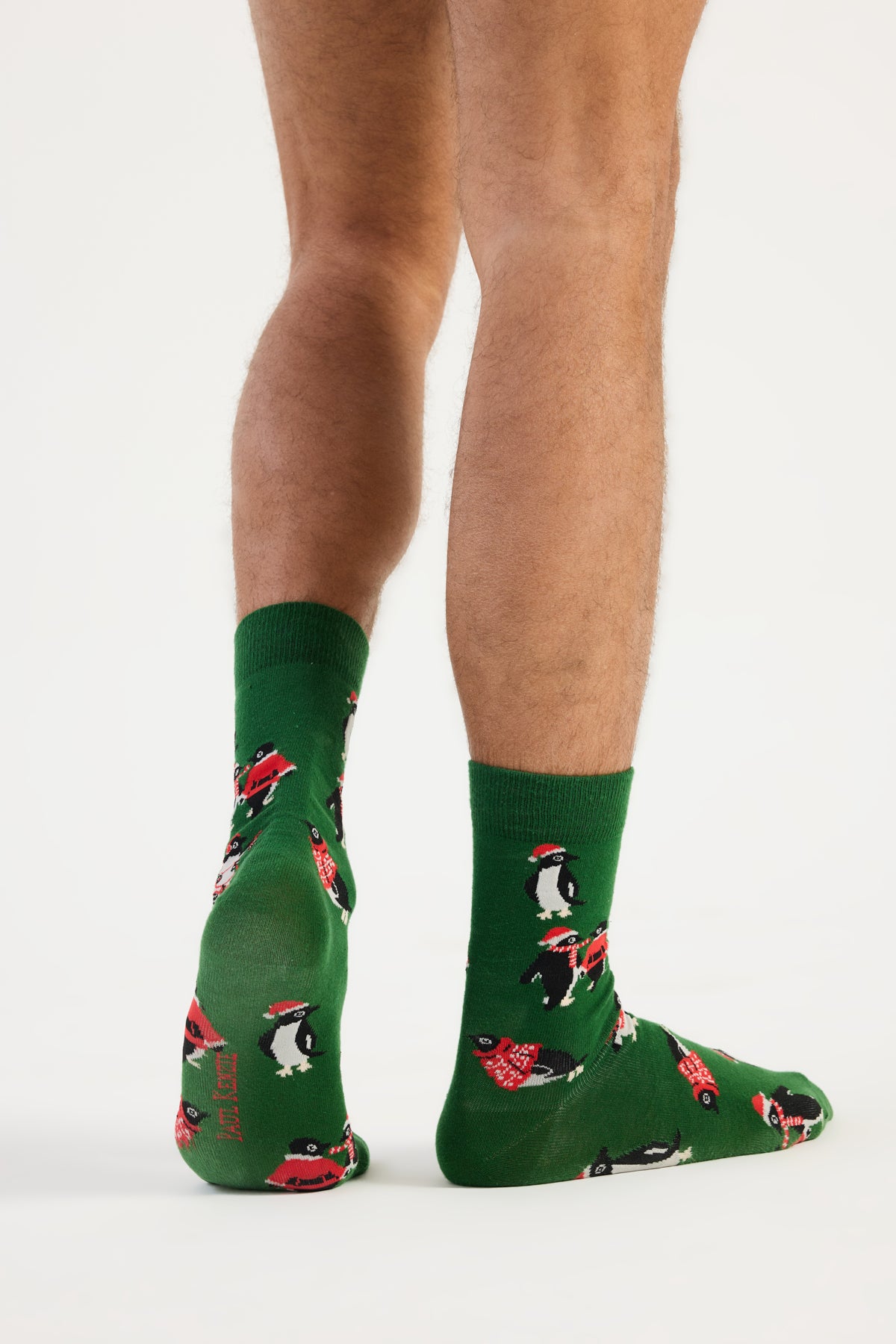 Christmas Collection - Soket Çorap - Pengu in Wonderland