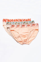 Erkek  3'lü Slip Boxer - Wild