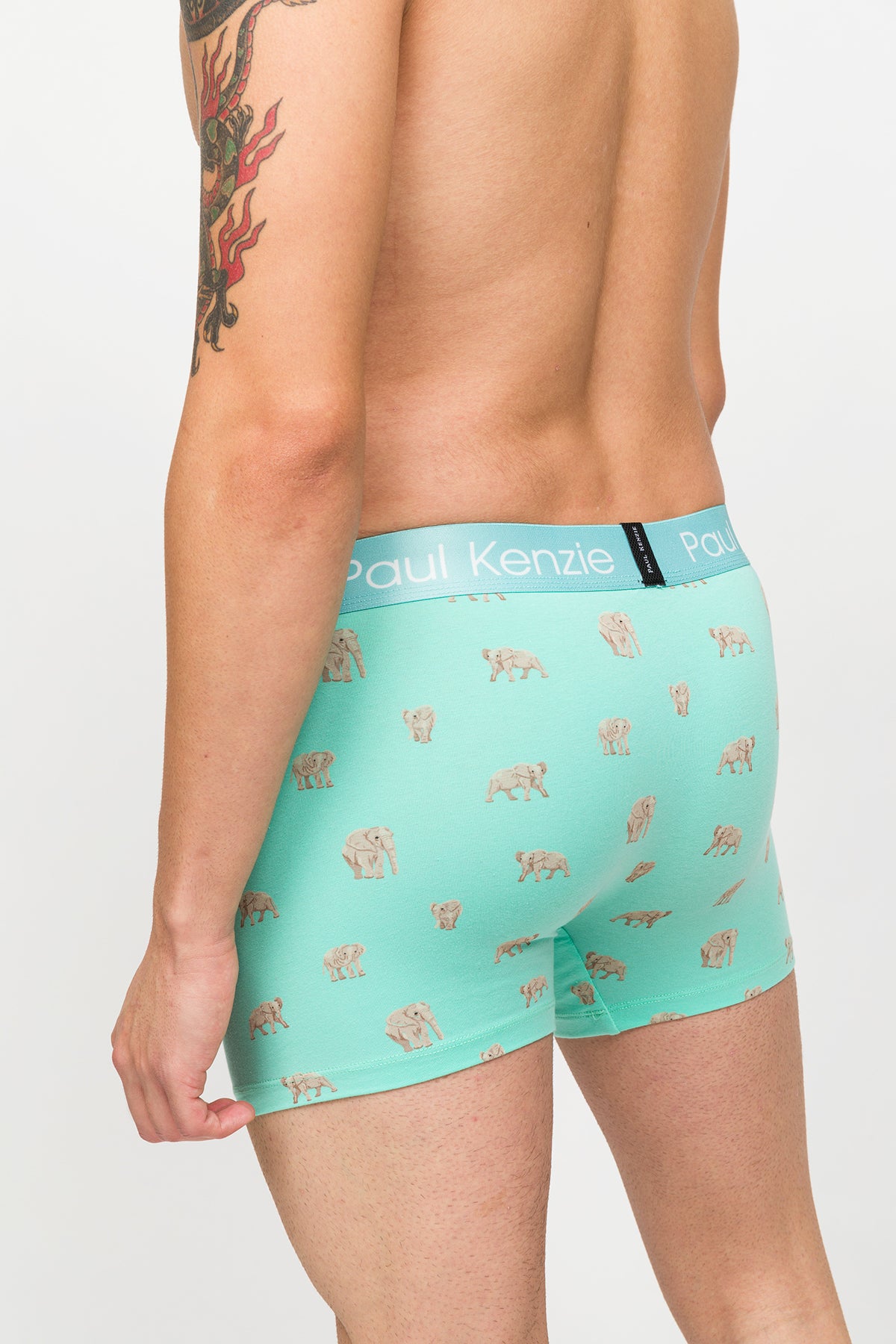 Desenli Erkek Boxer – Eco Characters – Elephantastic