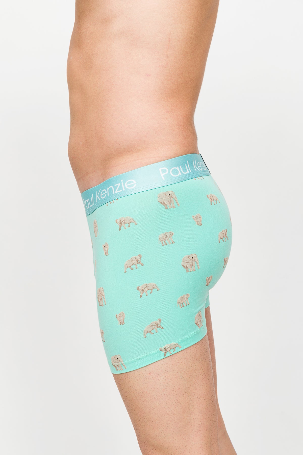 Desenli Erkek Boxer – Eco Characters – Elephantastic