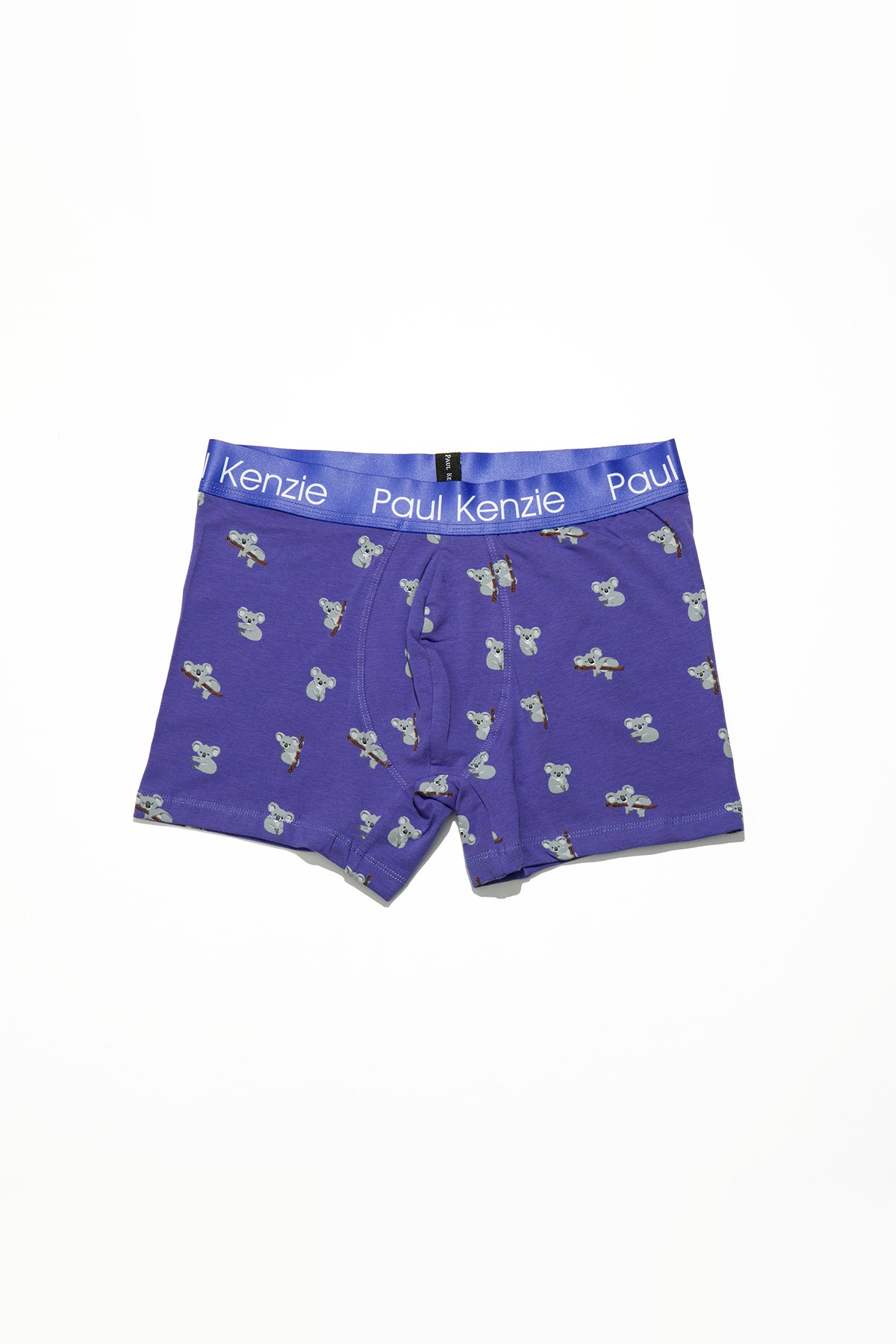 Erkek Boxer - Eco Characters - Koala