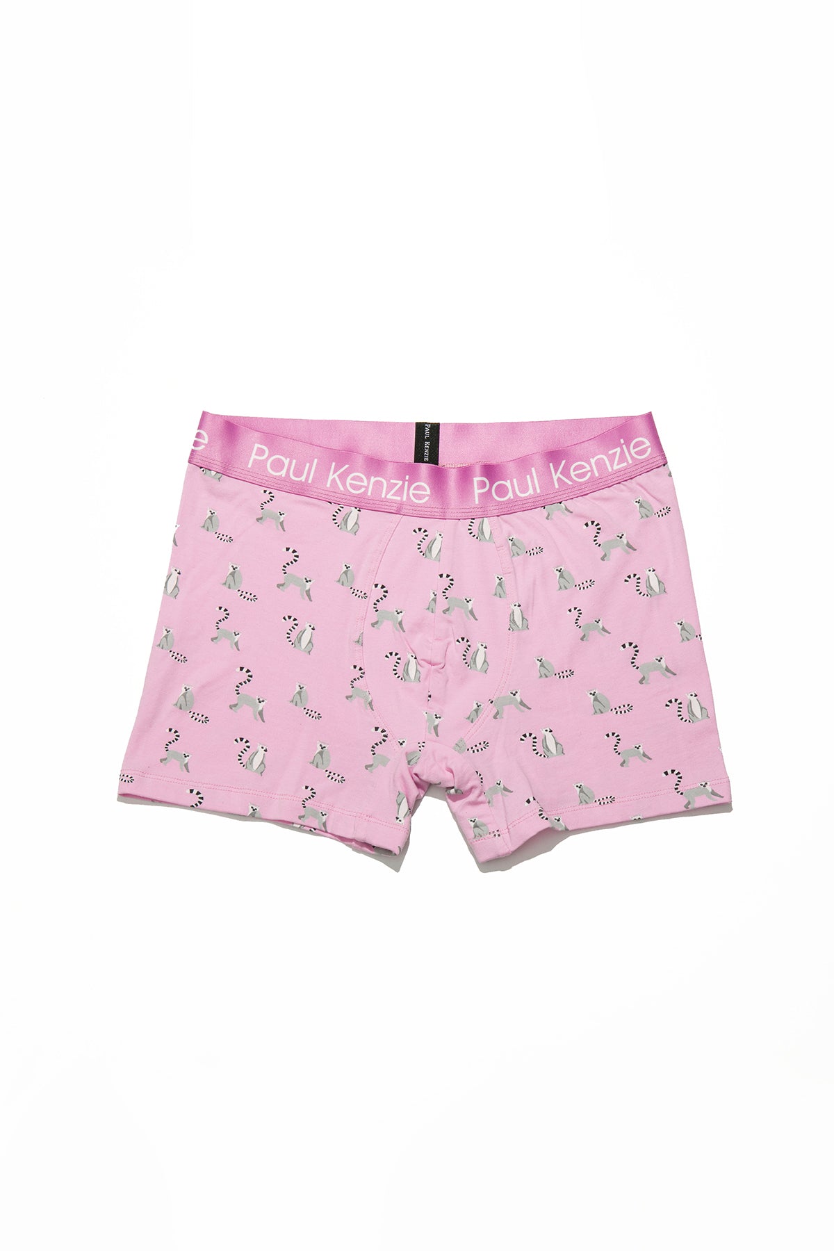 Erkek Boxer - Eco Characters - Lemur