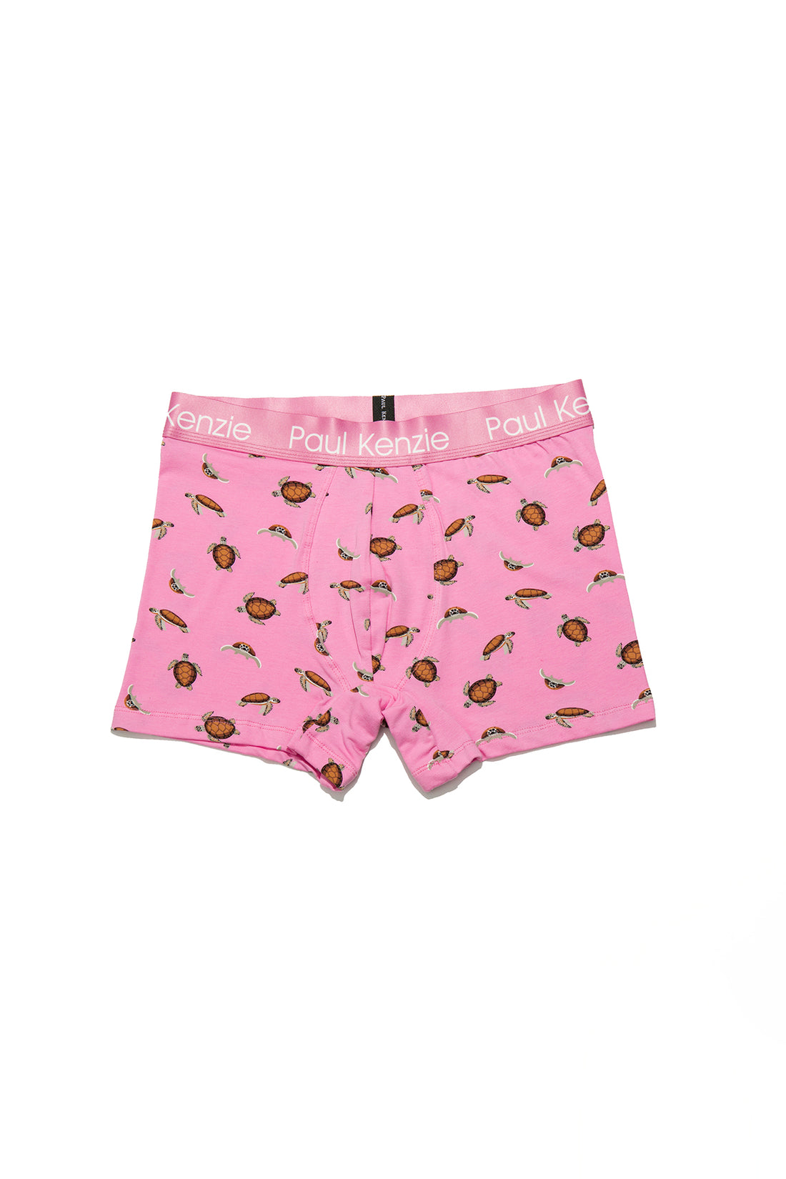 Desenli Erkek Boxer – Eco Characters – Turtley