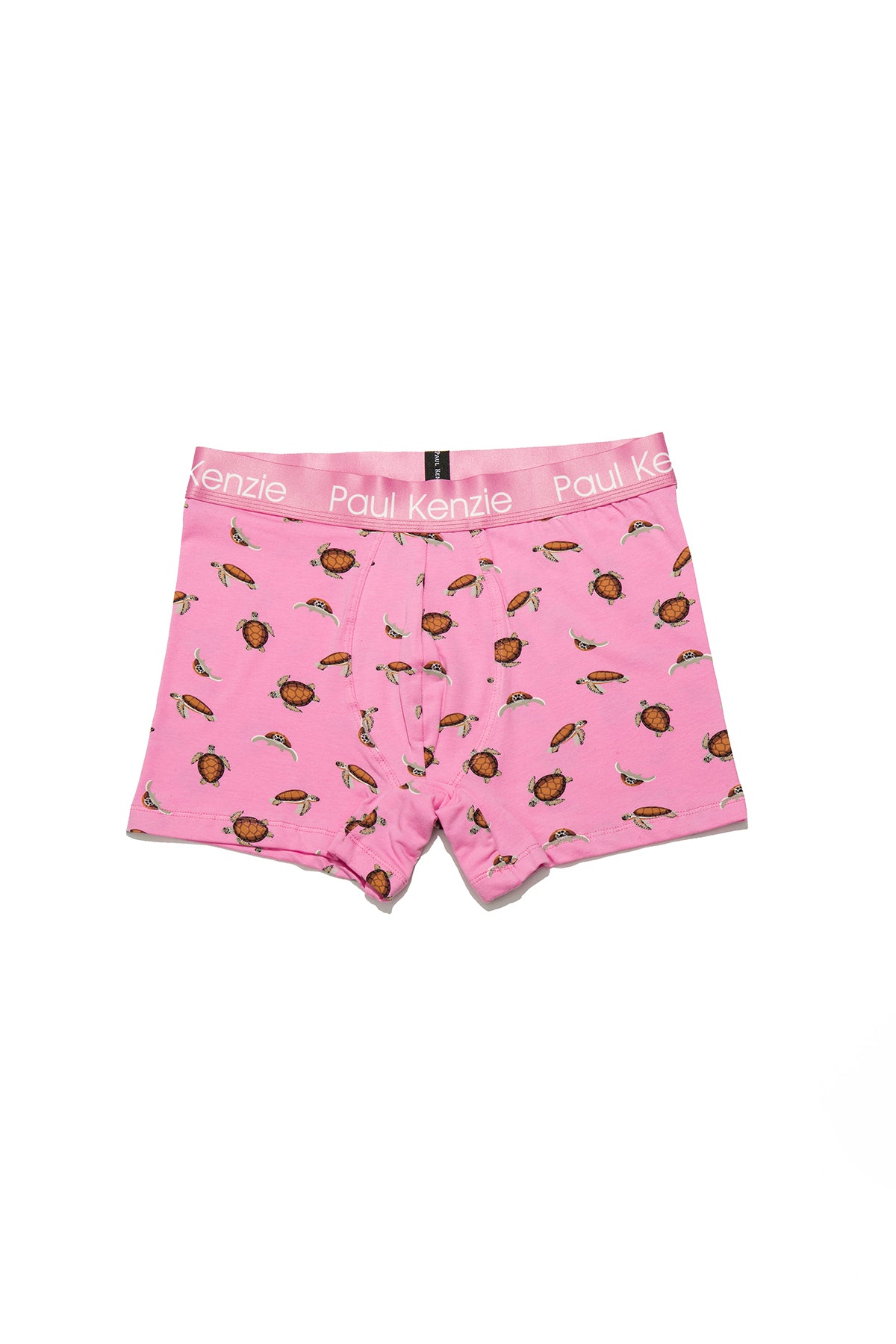 Desenli Erkek Boxer – Eco Characters – Turtley