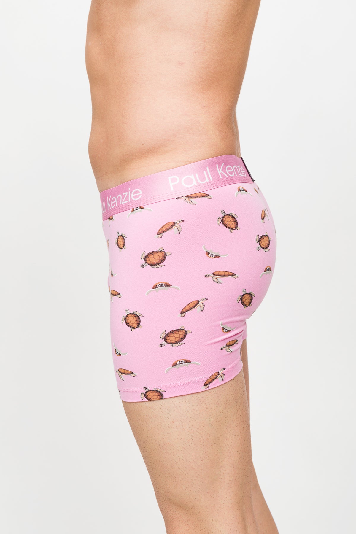 Desenli Erkek Boxer – Eco Characters – Turtley