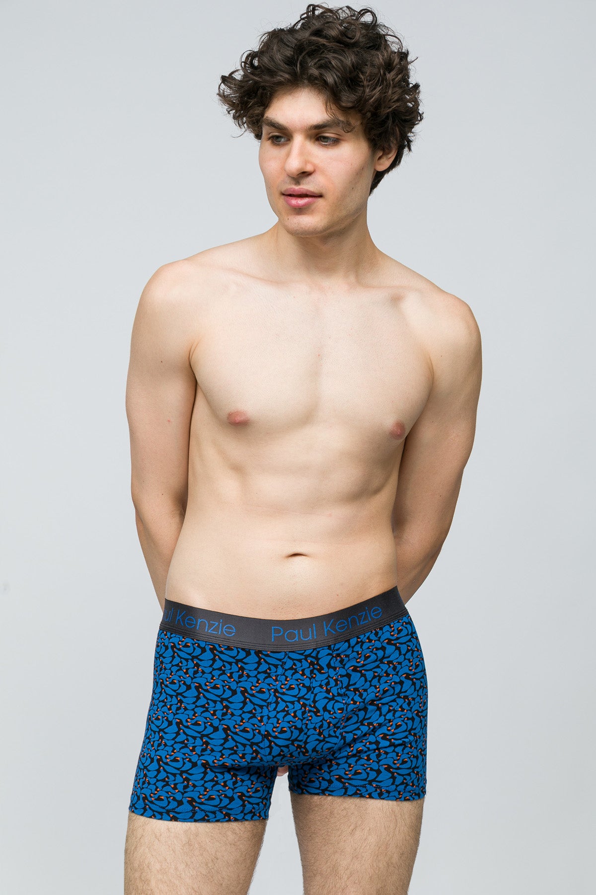 Desenli Erkek Boxer - Goose