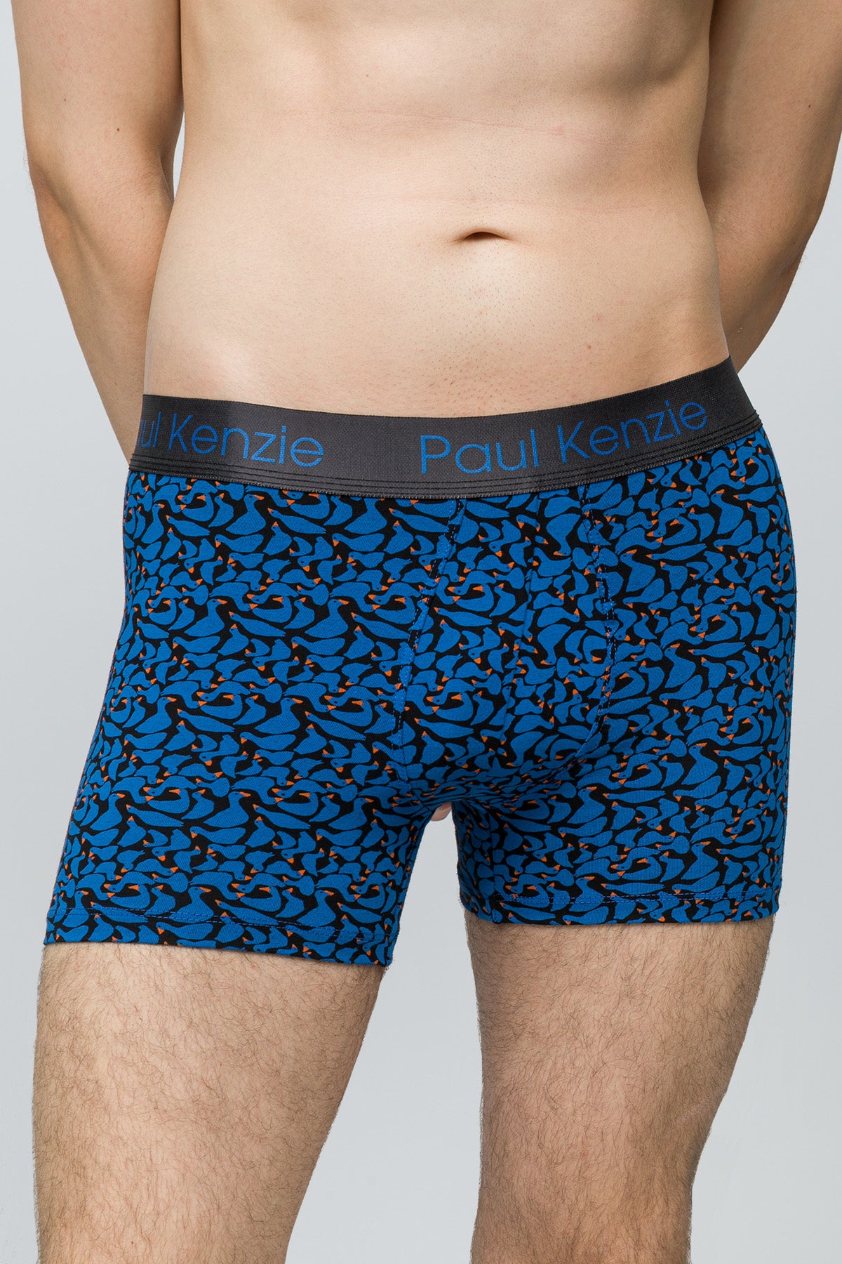 Desenli Erkek Boxer - Goose