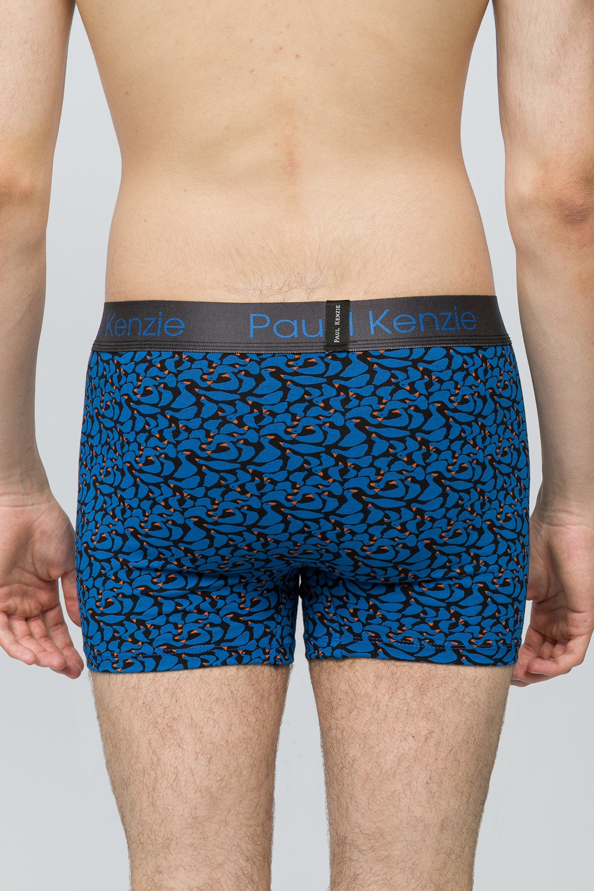 Desenli Erkek Boxer - Goose