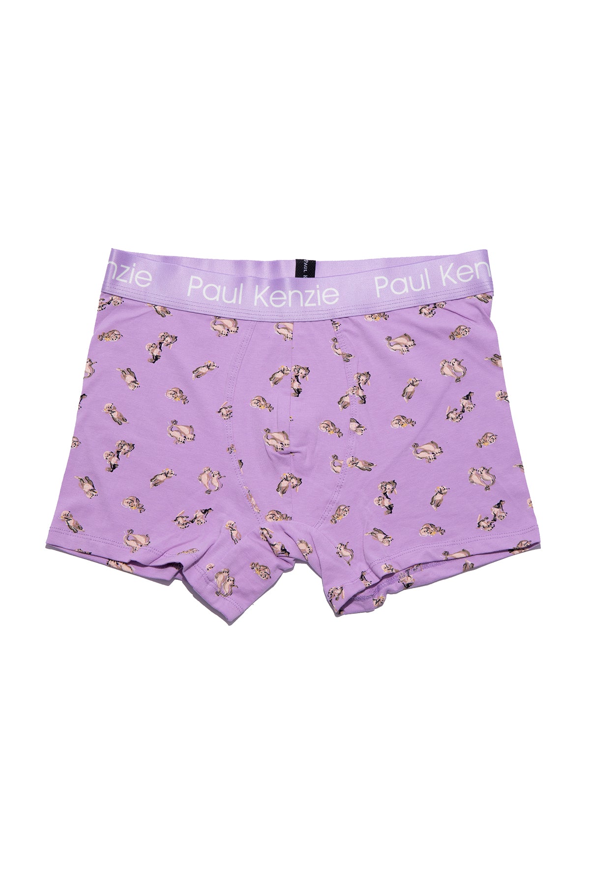 Desenli Erkek Boxer - Otter